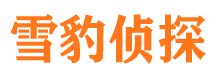 安远市私家侦探